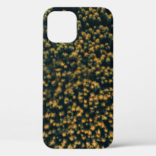 Aerial view of trees iPhone 12 case