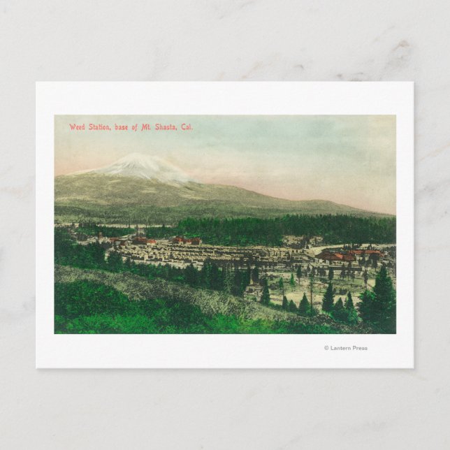 Aerial View of Weed Station at Mt. Shasta Base Postcard (Front)