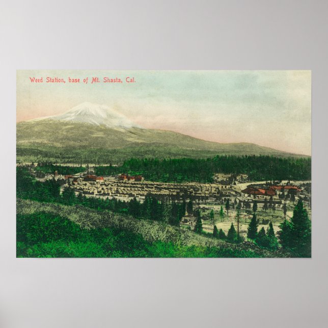 Aerial View of Weed Station at Mt. Shasta Base Poster (Front)