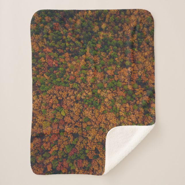 Aerial view photography of forest sherpa blanket (Front)