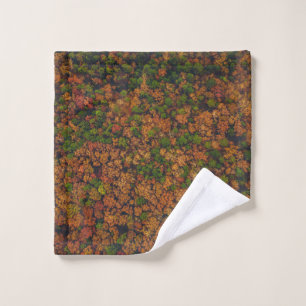 Aerial view photography of forest wash cloth