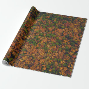 Aerial view photography of forest wrapping paper