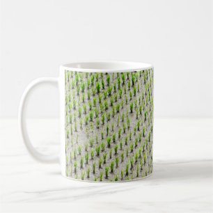 Aerial view photography of rice crops during dayti coffee mug