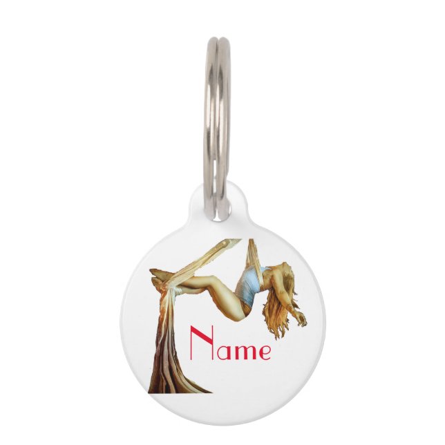 Aerial yoga fitness Thunder_Cove Pet Tag (Front)