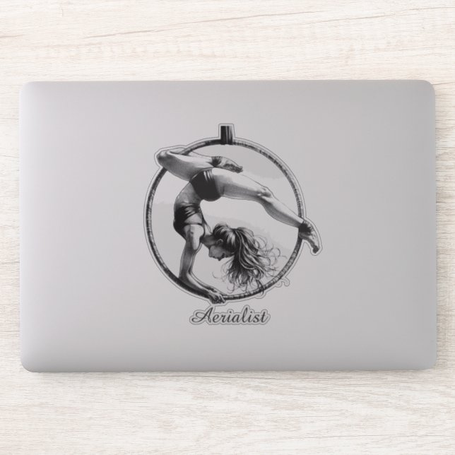 Aerialist Aerial Hoop Lyra  (Computer)