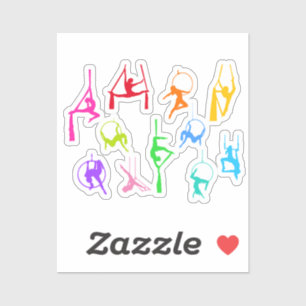 Aerialist Aerial Silks Lyra silhouettes rainbow