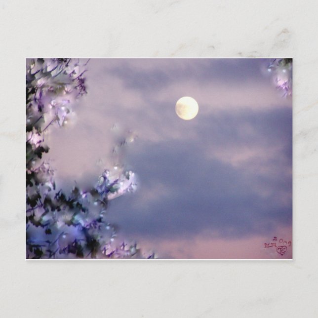 Aerial's Gift Postcard (Front)