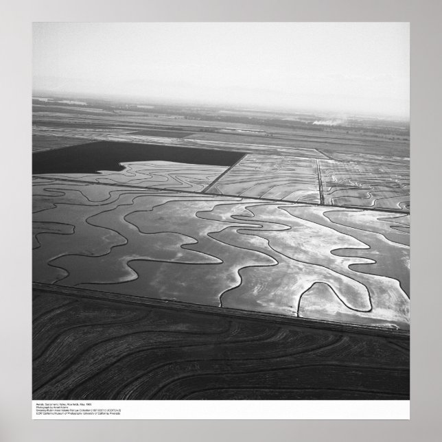 Aerials, Sacramento Valley, Rice fields, May, 1966 Poster (Front)