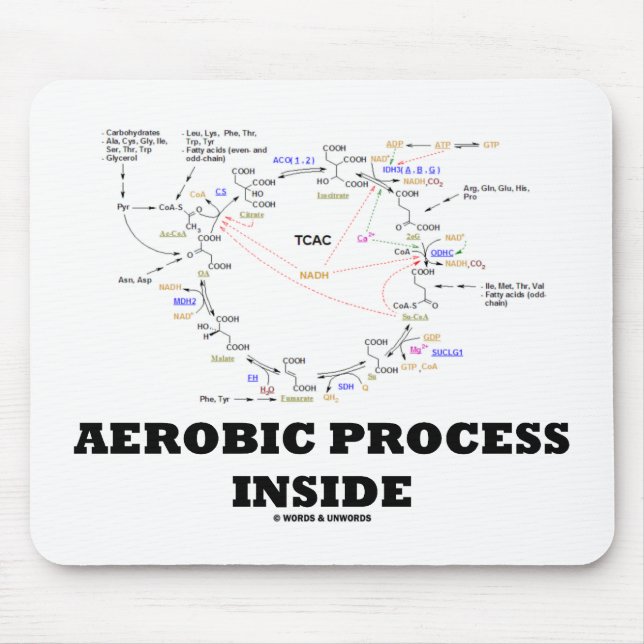 Aerobic Process Inside (Krebs Cycle) Mouse Mat (Front)