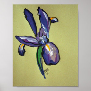 Aeronautical Iris Modern Art Painting Print Poster