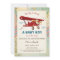Aeroplane Baby Shower Invitation Travel Adventure