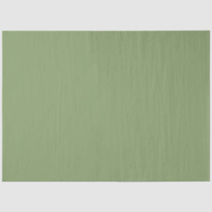 Aeroplane on Grey Green, Green Solid Colour  Tissue Paper