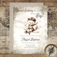 Aeroplane Teddy Bear Special Delivery Baby Shower