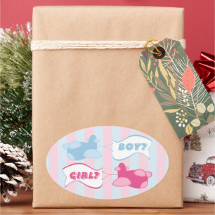 Aeroplanes and Banners Gender Reveal Party Oval Sticker