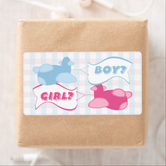 Aeroplanes and Banners Gingham Gender Reveal Party