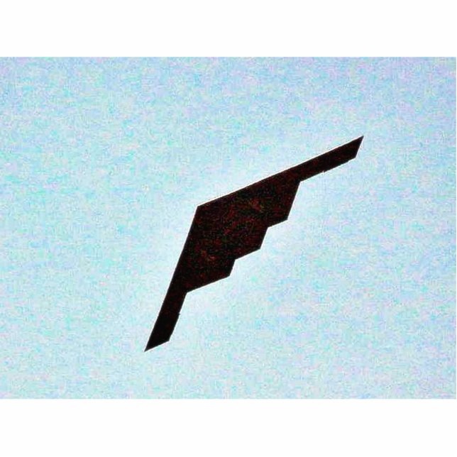 Aeroplanes Stealth Bomber Standing Photo Sculpture (Front)
