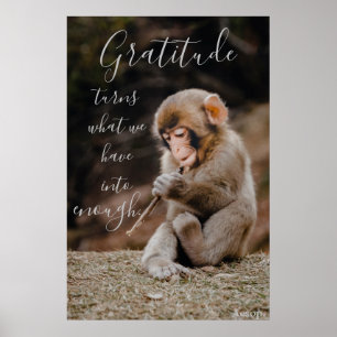 Aesop Gratitude Quote, monkey Poster