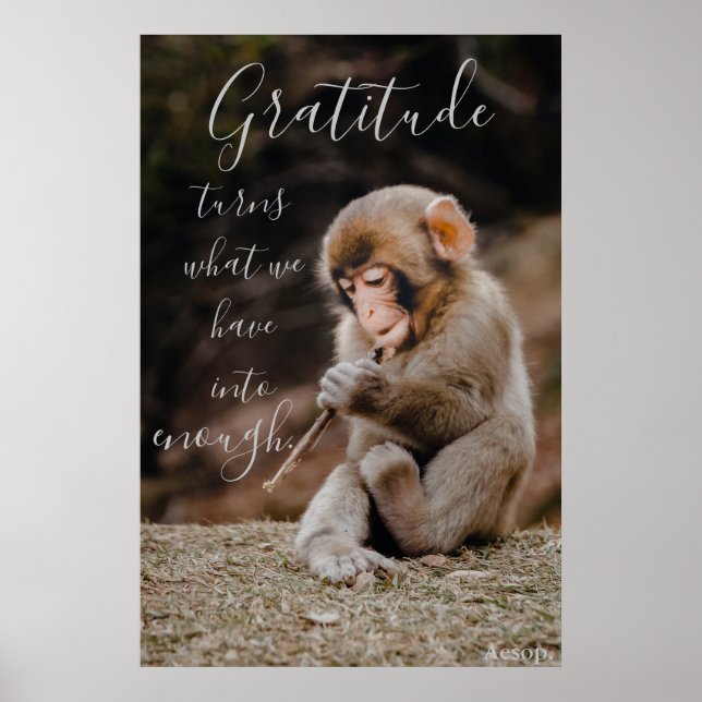 Aesop Gratitude Quote, monkey Poster (Front)