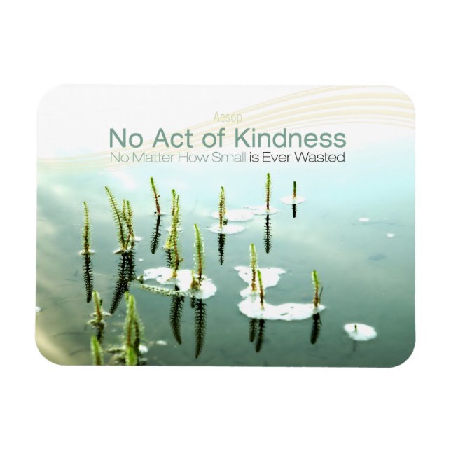 Aesop Inspirational Quote "Kindness" Magnet (Horizontal)