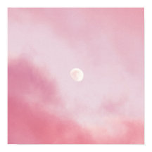 Aesthetic Calm Pink Sky and Moon