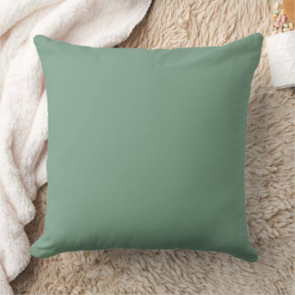 Aesthetic Solid Sage Green Cushion