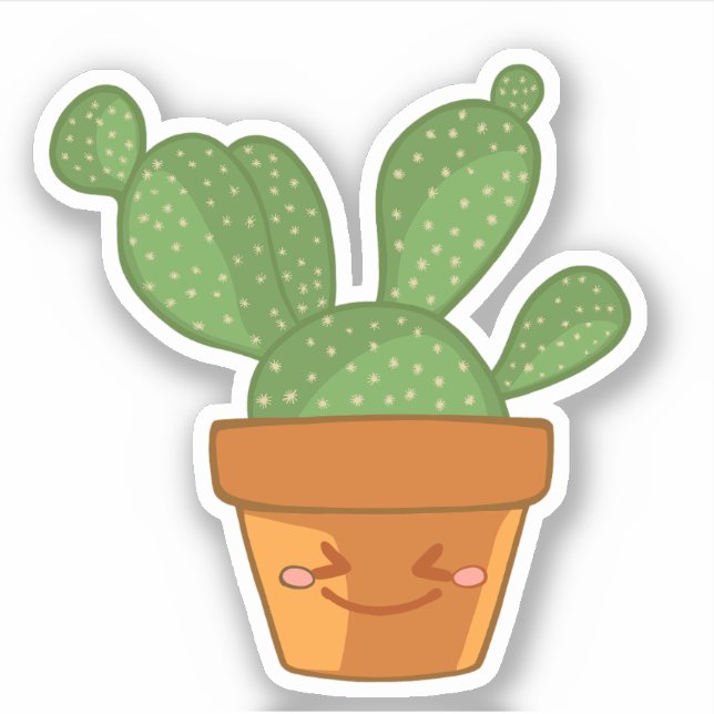 Aesthetic Succulent Cactus Flower plant (Front)
