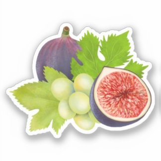 Aesthetic Watercolor Fig and Grape Artwork