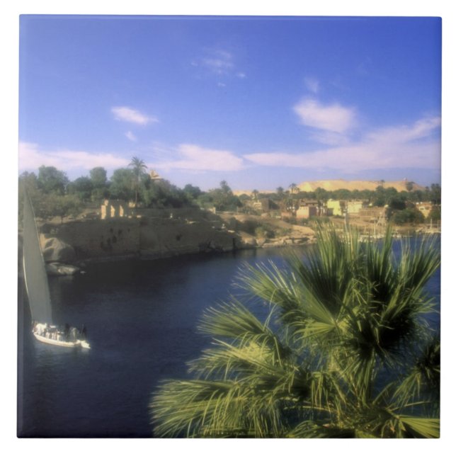 AF, Egypt, Upper Egypt, Aswan. River Nile, Tile (Front)