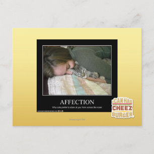 Affection Postcard