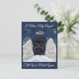 Affenpinscher Angel   Postcard