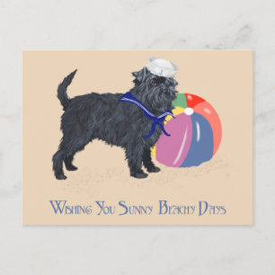 Affenpinscher at the Beach Postcard