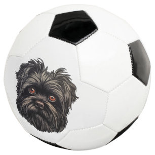 Affenpinscher Black Dog Football