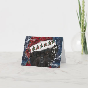 Affenpinscher  card