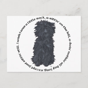 Affenpinscher Ditty Postcard