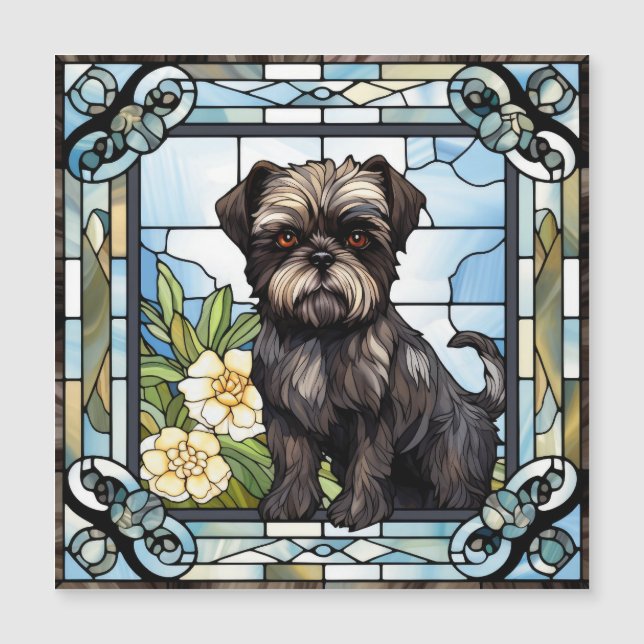 Affenpinscher Dog  (Front)