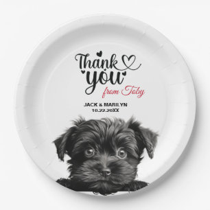 Affenpinscher Dog Paper Plate