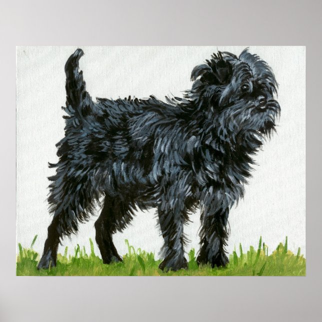 Affenpinscher Dog Portrait Poster (Front)