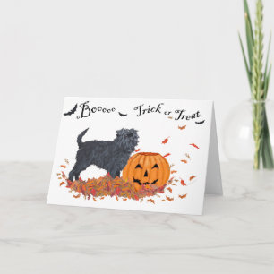 Affenpinscher Halloween Card