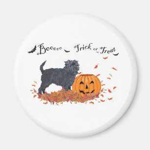 Affenpinscher Halloween Magnet