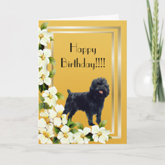 Affenpinscher Happy Birthday Card