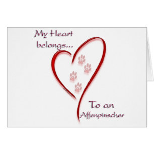 Affenpinscher Heart Belongs