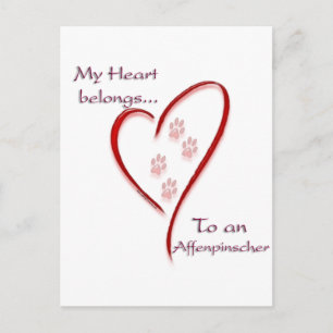 Affenpinscher Heart Belongs Postcard