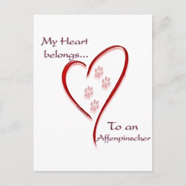 Affenpinscher Heart Belongs Postcard (Front)