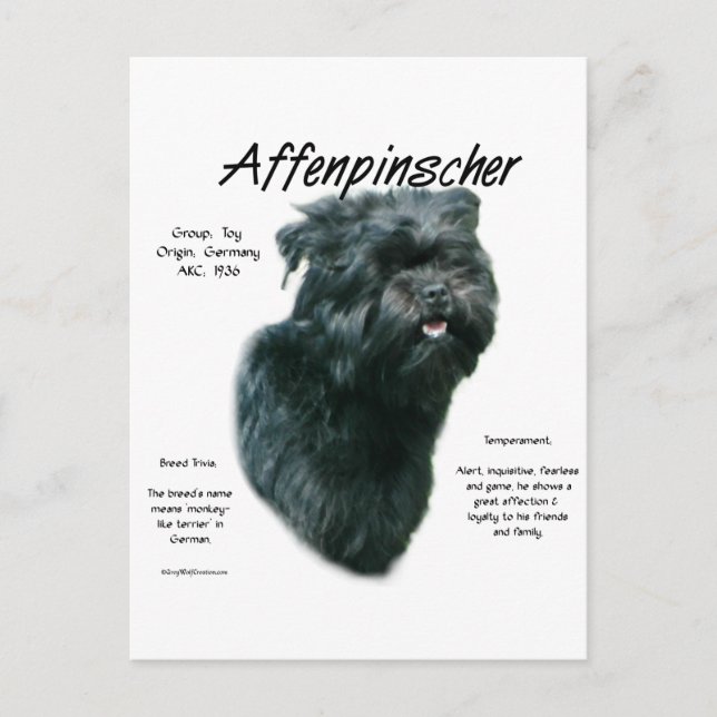 Affenpinscher History Design Postcard (Front)