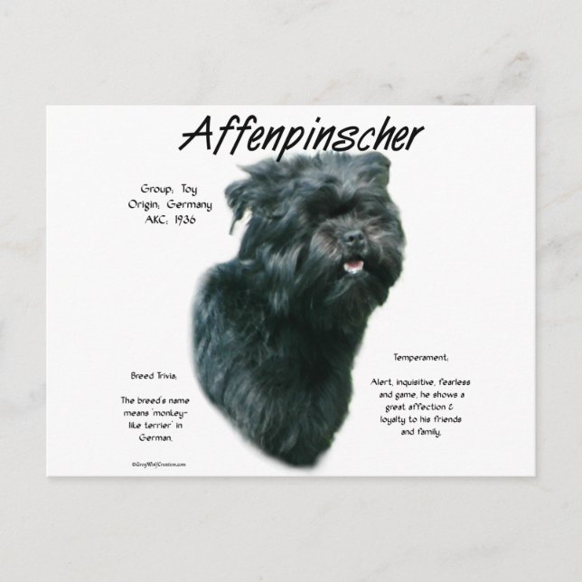 Affenpinscher History Design Postcard (Front)