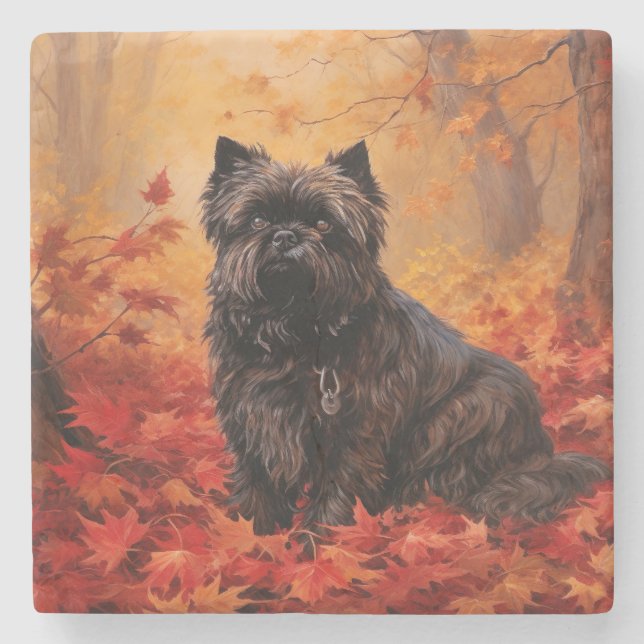 Affenpinscher in Autumn Leaves Fall Inspired  Stone Coaster (Front)