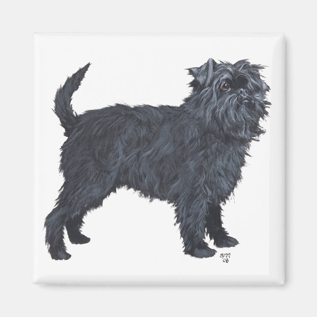 Affenpinscher Magnet (Front)