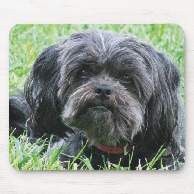 Affenpinscher Mouse Mat (Front)