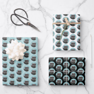 Affenpinscher Painting - Cute Original Dog Art Wrapping Paper Sheet