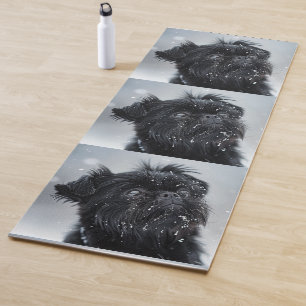Affenpinscher Photo Snow Winter Background Yoga Mat